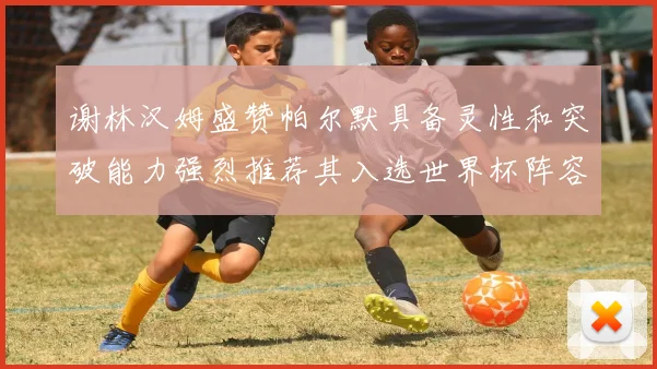 谢林汉姆盛赞帕尔默具备灵性和突破能力强烈推荐其入选世界杯阵容