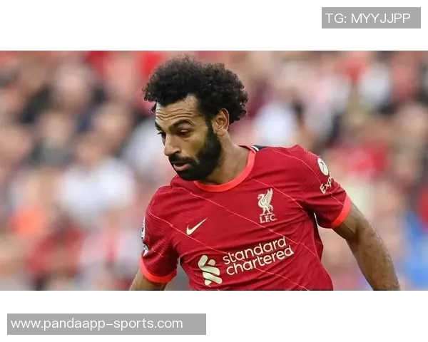 弗拉霍维奇伦敦手术后缺席三个月肌腱重伤情况堪比骨折